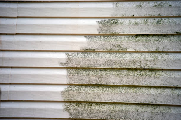 Best Custom Trim and Detailing for Siding  in Mechanicsville, MD