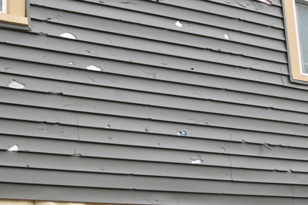 Best Siding Removal and Disposal  in Mechanicsville, MD