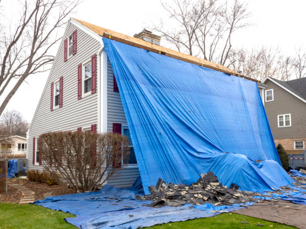 Best Custom Siding Design  in Mechanicsville, MD